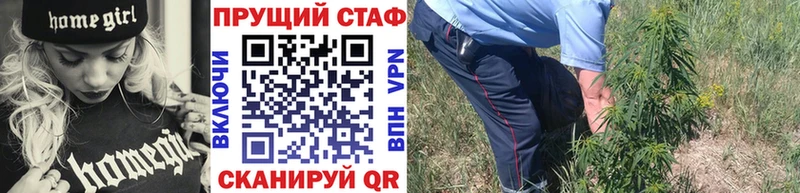 Хочу наркоту Приозерск ГАШ  КОКАИН  Псилоцибиновые грибы  Бошки Шишки  Мефедрон 