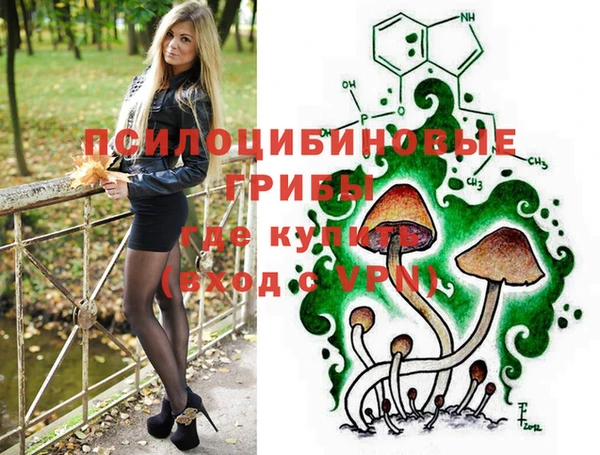 МДПВ Арсеньев