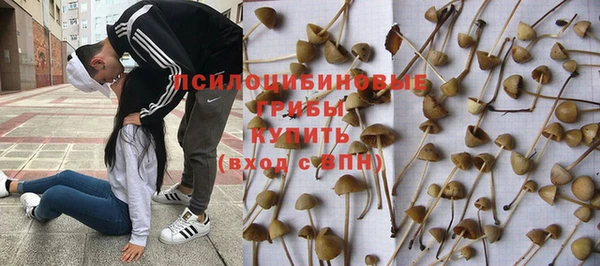 МДПВ Арсеньев