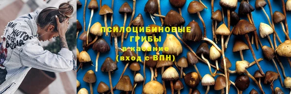 меф Аркадак